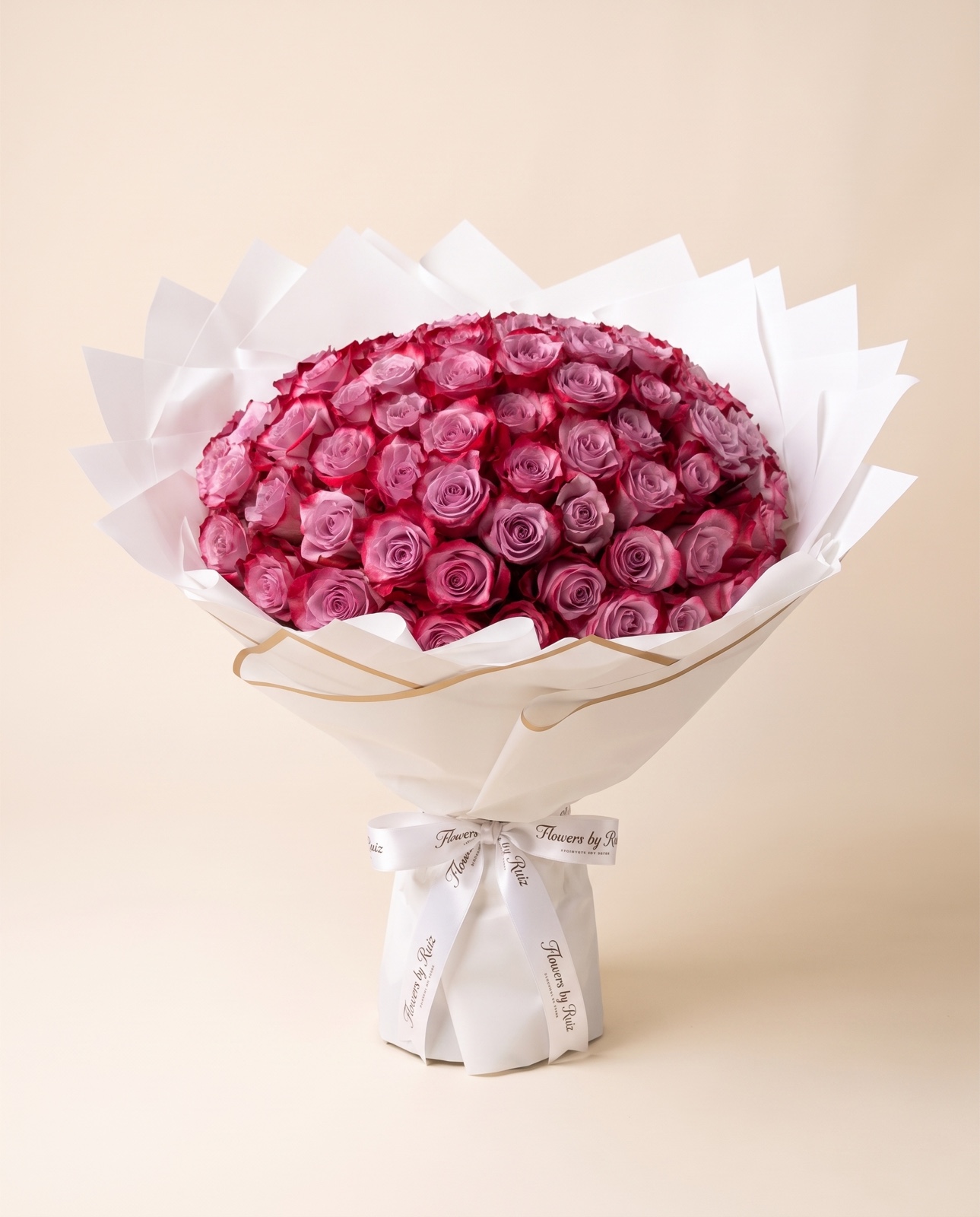 100 rosas morado intenso — vista frontal de estudio