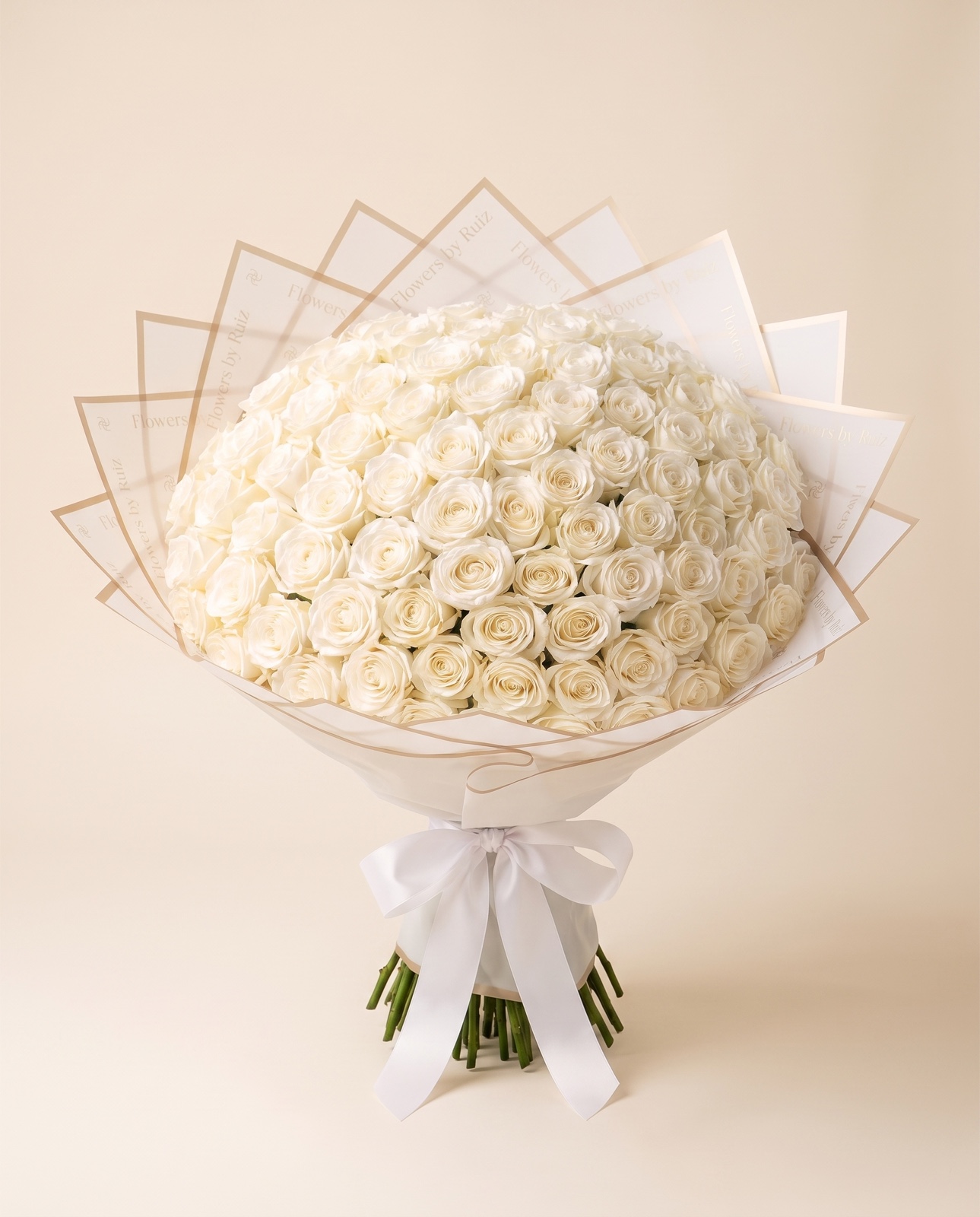 100 rosas blancas — vista frontal de estudio