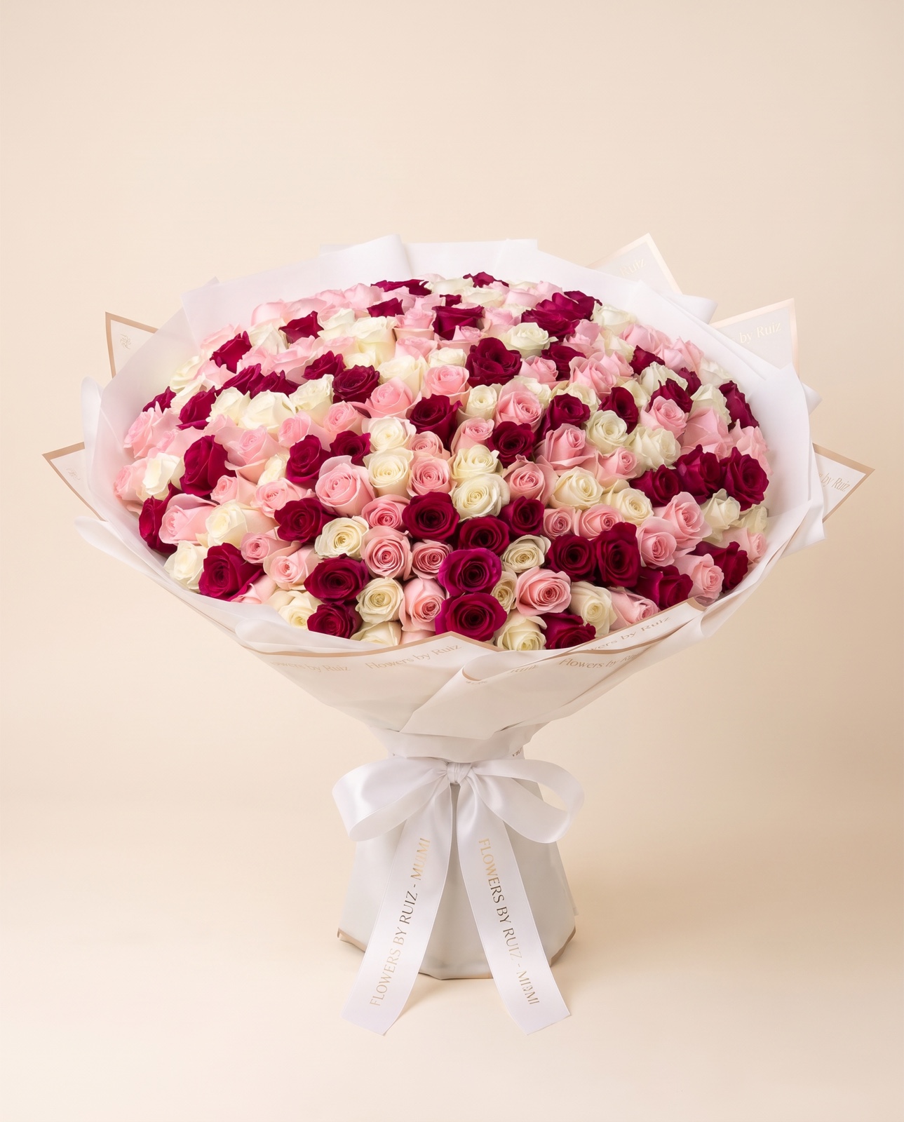 150 rosas rosa, blancas y borgoña — vista frontal de estudio